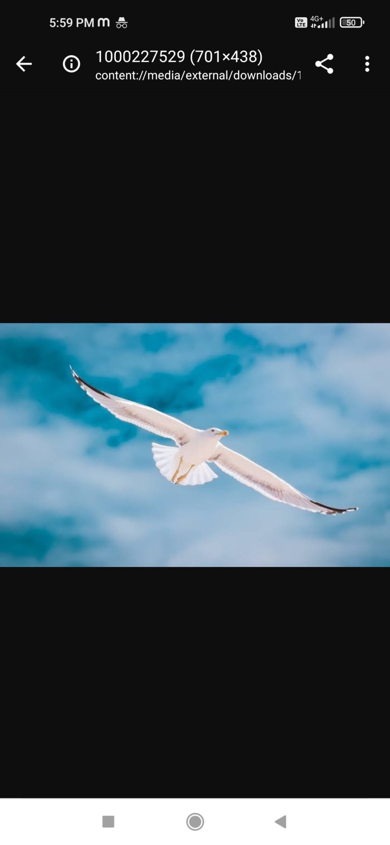 topic-community-background