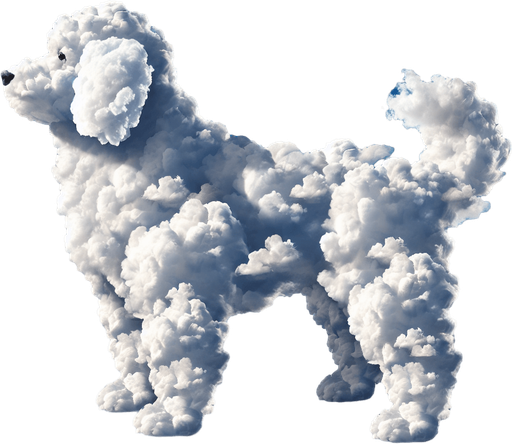 Cloud Dog.
2D