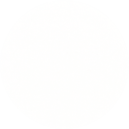 white color circle.
In-Game asset.  2d.  High contrast.  No shadows