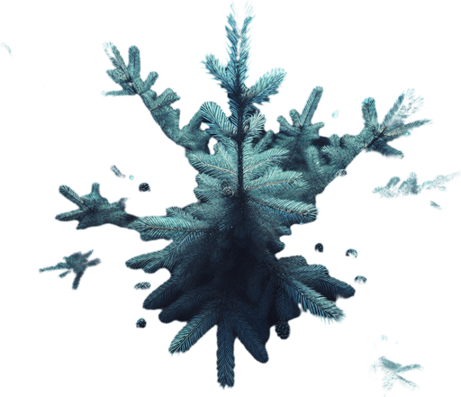 Photorealistic pine tree in night light, top view