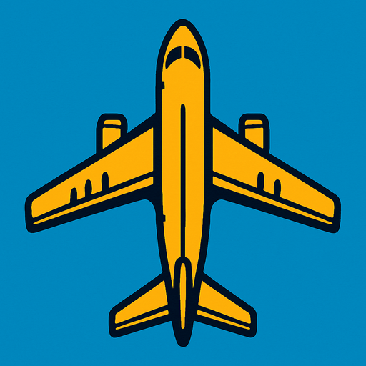 plane. from top side 

In-Game asset.  2d.  High contrast.  No shadows