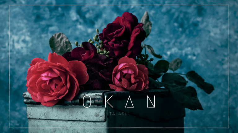 user-community-background