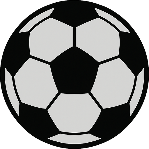 draw a soccer ball use a light gray and black.
2d.  High contrast.  No shadows