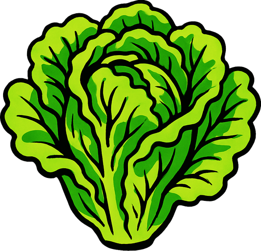 lettuce.
2d.  High contrast.  No shadows