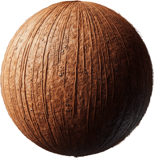 coconut.
Single Game Texture. In-Game asset. 2d. Blank background. High contrast. No shadows.