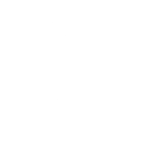 kafatası. No background. Transparent background. Blank background. No shadows. 2d. In-Game asset. flat