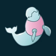 user-pic