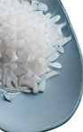 One white grain of rice