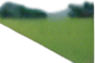 Long thin grain of rice