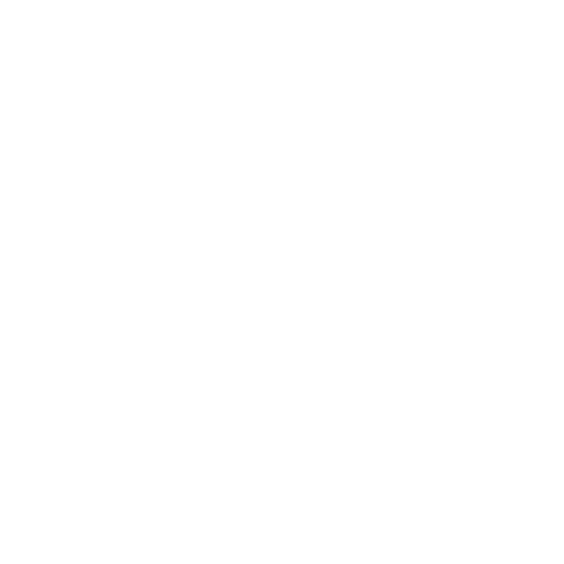 I want a coin and on it I want to be written sack. No background. Transparent background. Blank background. No shadows. 2d. In-Game asset. flat