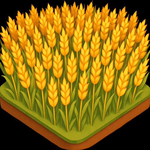 Vuelve la parcela más densa de trigo