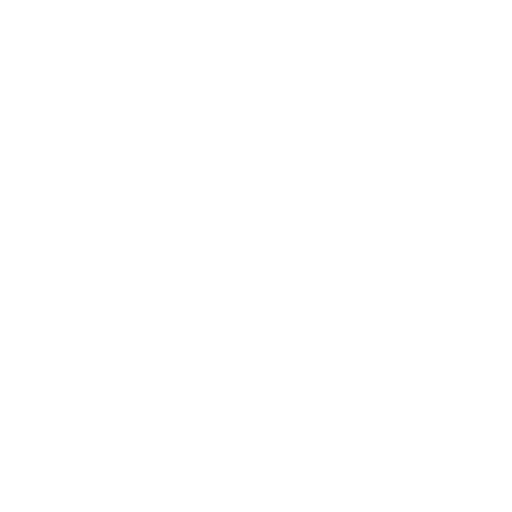 A zombie fixed with a skeleton. No background. Transparent background. Blank background. No shadows. 2d. In-Game asset. flat