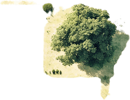 The same image, but in a lush green setting, where grass is growing in all the fields.