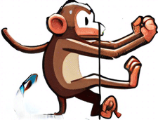 The missing tail of the monkey.