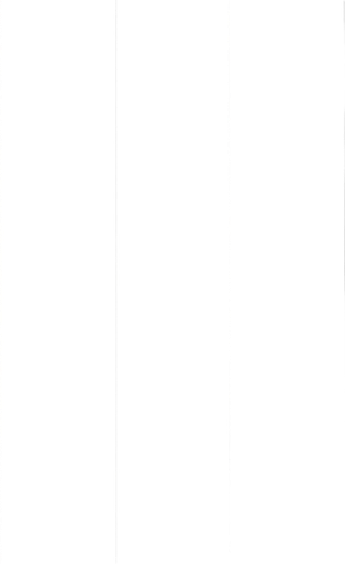 no perspective all parralel lines from birdswiew