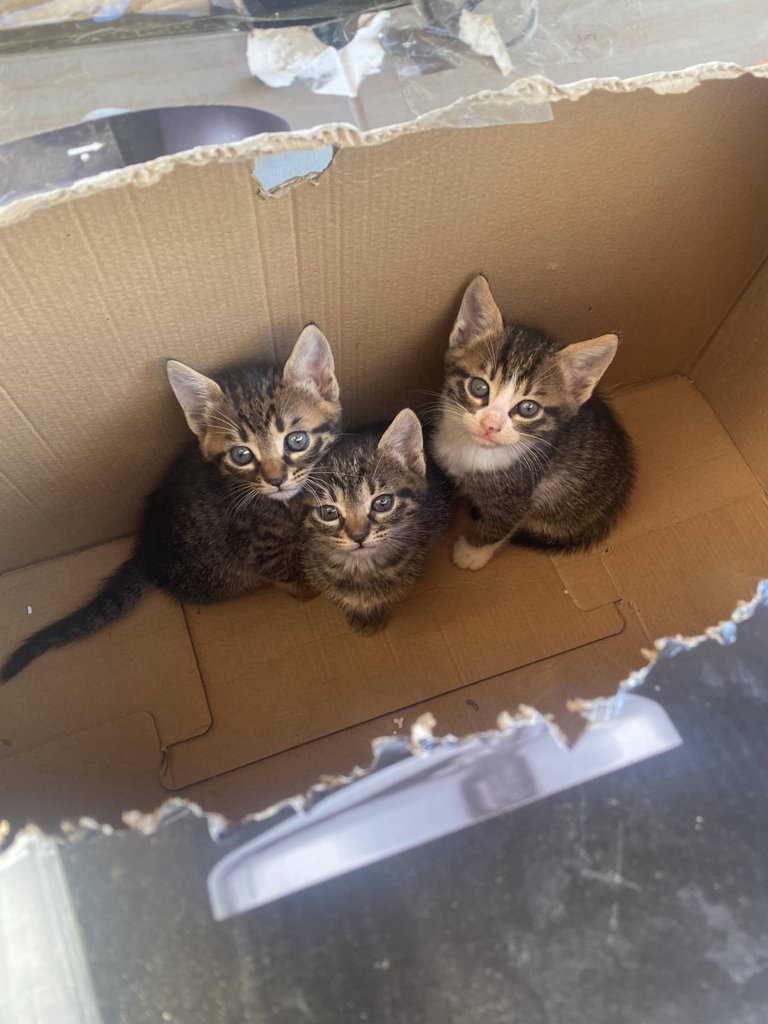 user-community-background