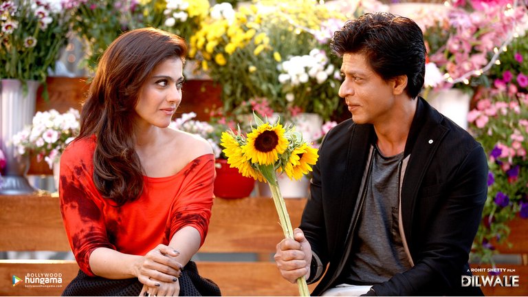 user-community-background