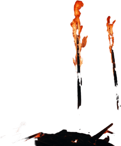 forest in fire.
2d