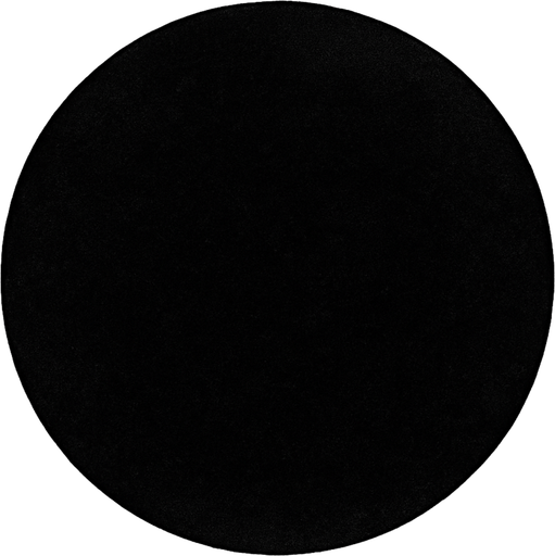 Un círculo negro realista.
In-Game asset.  2d.  High contrast.  No shadows. Realista