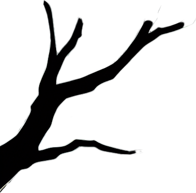 anime style green dark forest.
Single Game Texture.  In-Game asset.  2d.  Blank background.  High contrast.  No shadows