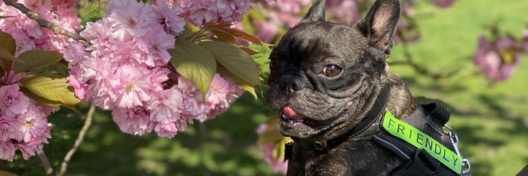 user-community-background