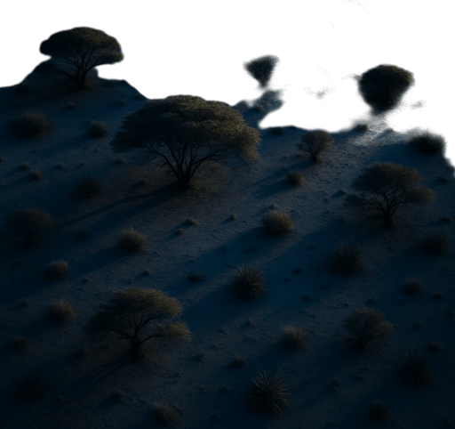 Photorealistic desert trees at night, bird view