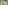 game-post-background