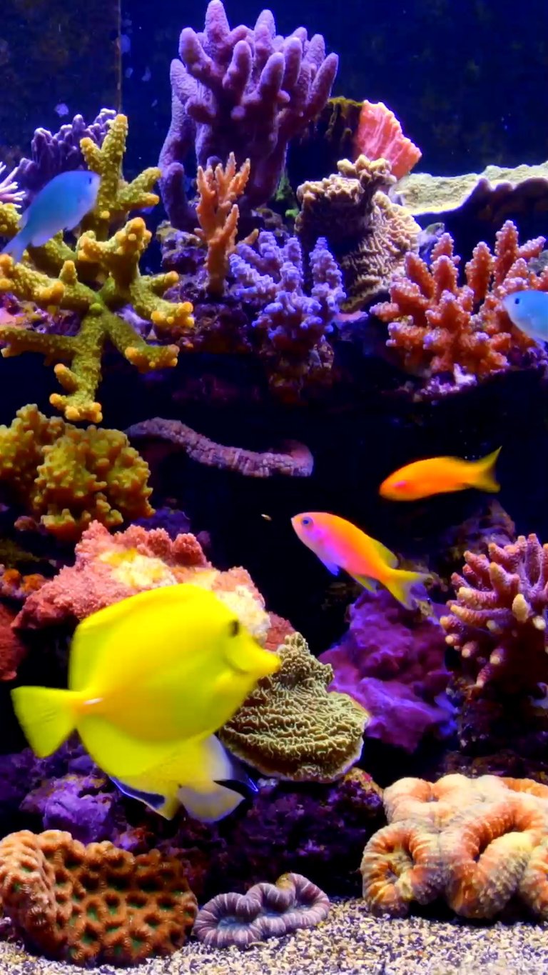 user-community-background