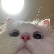 user-pic
