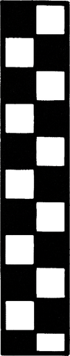 a line consisting of small squares in black and white is vertical from what happened at the races.
In-Game asset.  2d.  High contrast.  No shadows