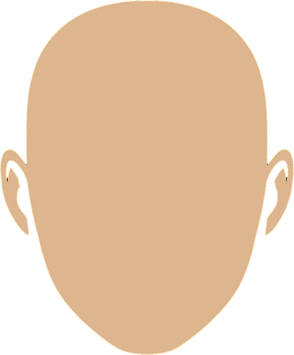 make a just face witout eyes and eyebrows and hairs and nose and mouth.
In-Game asset.  2d.  High contrast.  No shadows