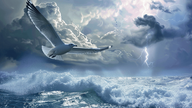 game-community-background