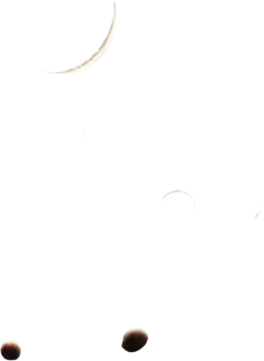 Pitch-dark realistic outer space