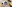 game-post-background
