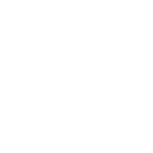 head without neck. No background. Transparent background. Blank background. No shadows. 2d. In-Game asset. flat