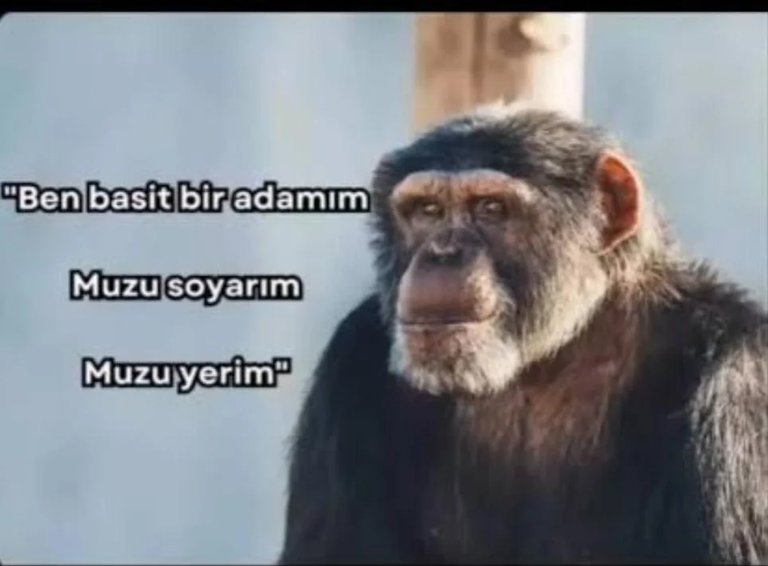 user-community-background