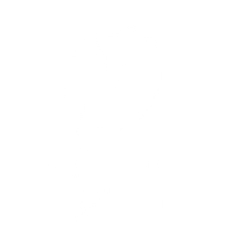 rose. No background. Transparent background. Blank background. No shadows. 2d. In-Game asset. flat