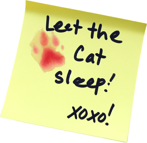 yellow stickyNote with
 "Let the cat sleep!
Xoxo!" text and a red-stain.