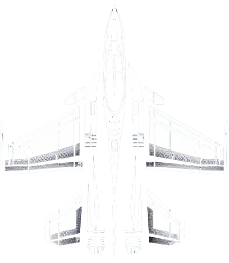 2d view of a fighter plane top view.
Single Game Texture. In-Game asset. 2d. Blank background. High contrast. No shadows.