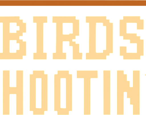A pixel art sign that says BIRDS SHOOTING.(800x240 size)
No shadows
