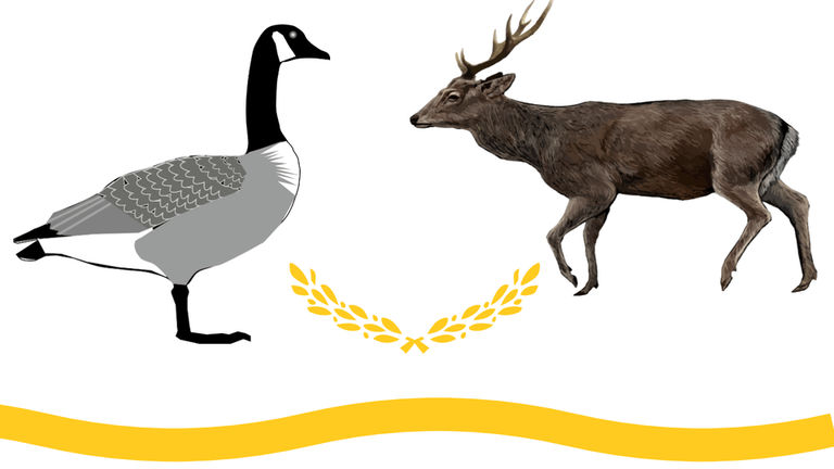 game-community-background