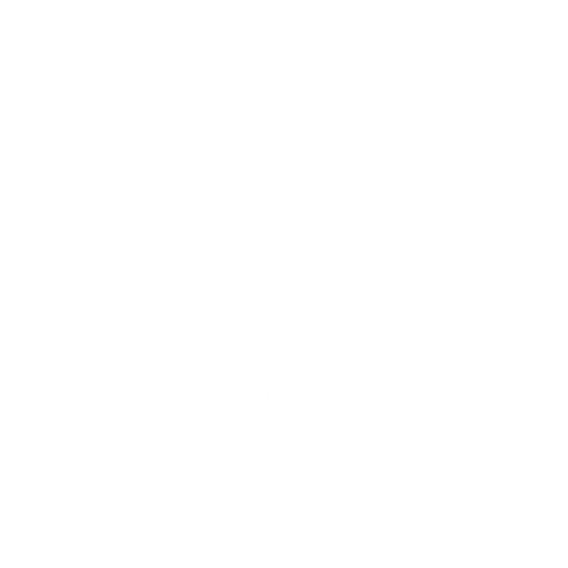 white bone, 16 bits, simple. No background. Transparent background. Blank background. No shadows. 2d. In-Game asset. flat