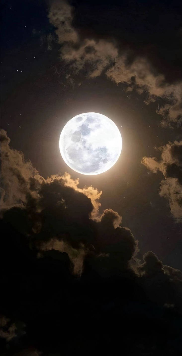 user-community-background