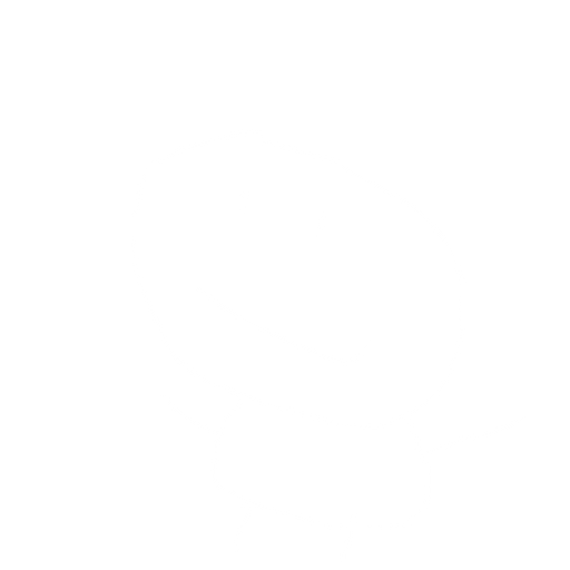 A Player Character. No background. Transparent background. Blank background. No shadows. 2d. In-Game asset. flat