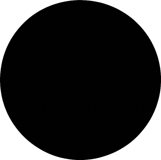 black circle.
In-Game asset.  2d.  High contrast.  No shadows