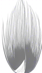 Long thin grain of rice