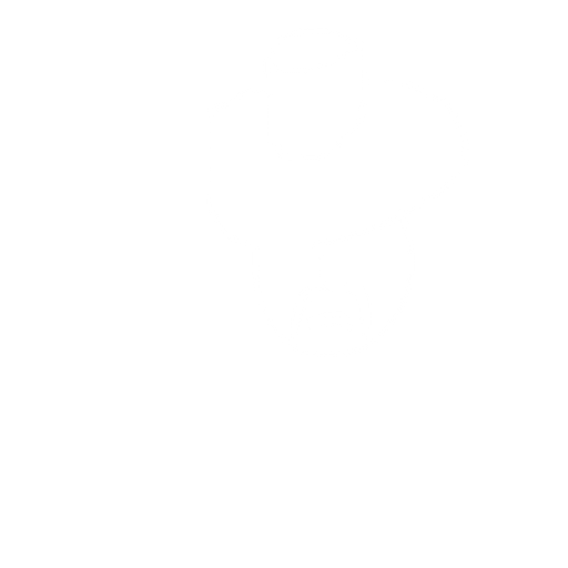 a cow boy head from top of the screen lowpoly. No background. Transparent background. Blank background. No shadows. 2d. In-Game asset. flat