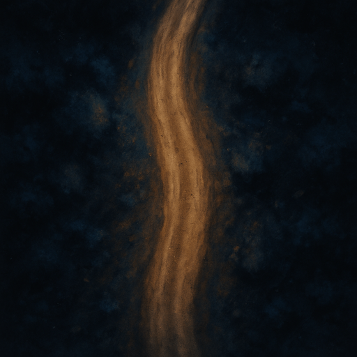 Dirt road at night, topview