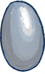 One white grain of rice