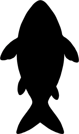 The dark shadow  silhouette of a fish. Top down view.
In-Game asset.  2d.  High contrast.  No shadows
